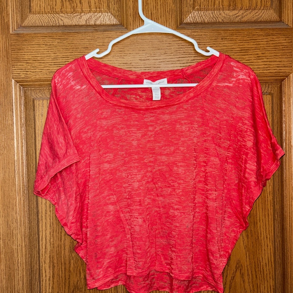 Pink Sheer Crop Top